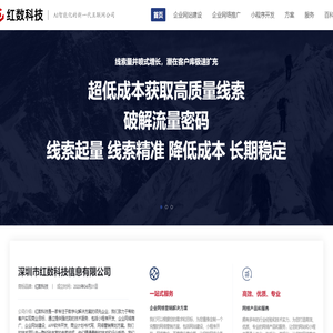 企业网站建设-网络推广-开户运营一站式服务公司-红数科技