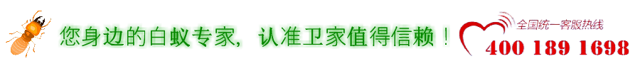 佛山白蚁防治所~您身边的虫害防控专家~南海、禅城、顺德灭治白蚁公司-除四害杀虫灭鼠-佛山市卫家白蚁防治有限公司